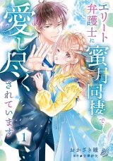 エリート弁護士に蜜月同棲で愛し尽くされています　1 パッケージ画像