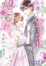 エリート弁護士に蜜月同棲で愛し尽くされています　2 パッケージ画像