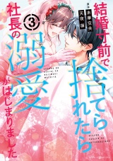 結婚寸前で捨てられたら社長の溺愛がはじまりました３ パッケージ画像