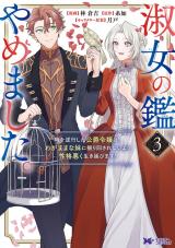 淑女の鑑やめました。時を逆行した公爵令嬢は、わがままな妹に振り回されないよう性格悪く生き延びます！(コミック)（3巻） パッケージ画像