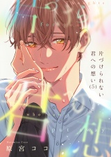 片づけられない君への想い(5) パッケージ画像