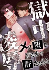 獄中凌辱〜メス堕ちするまで許さない(13) パッケージ画像