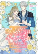 私の婚約はキャンセルされました パッケージ画像