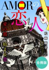 AMORの恋人　愛の都で始まる恋　合冊版 パッケージ画像