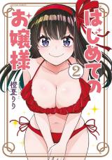 はじめてのお嬢様（2巻） パッケージ画像