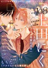 LiQulle（リキューレ）　VOL.108 パッケージ画像