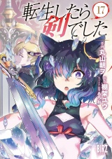 転生したら剣でした (17) 【電子限定おまけ付き】 パッケージ画像