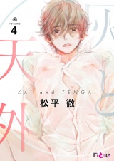 灰と天外 4 パッケージ画像
