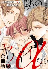 隣のヤバイαたち～出来損ないΩは堕とされる～合冊版5 パッケージ画像