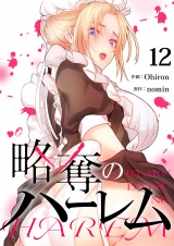 略奪のハーレム１２ パッケージ画像