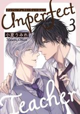 アンパーフェクト・ティーチャー　３ パッケージ画像