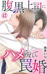 腹黒上司にハメられて罠婚42 パッケージ画像