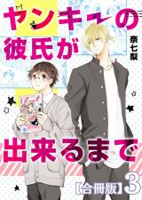 ヤンキーの彼氏が出来るまで【合冊版】3巻 パッケージ画像