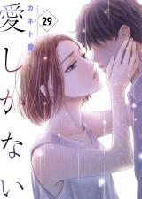 愛しかない　29 パッケージ画像