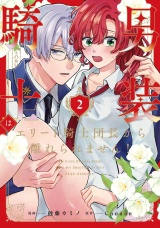 男装騎士はエリート騎士団長から離れられません！２ パッケージ画像