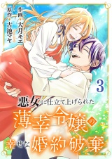 悪女に仕立て上げられた薄幸令嬢の幸せな婚約破棄【電子単行本版／特典おまけ付き】３ パッケージ画像