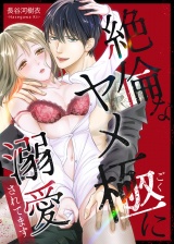 【合冊版】絶倫なヤメ極に溺愛されてます パッケージ画像