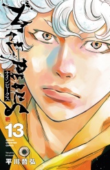 ナインピークス　NINE PEAKS　13 パッケージ画像