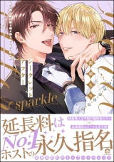 シークレットアフター sparkle【電子限定かきおろし漫画付】 パッケージ画像