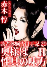 読者体験告白手記29　奥様は性具の味方II パッケージ画像