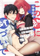 この恋に気づいて 〜失恋先輩は後輩OLのカワイイ恋人〜【デジタル特装版】 パッケージ画像
