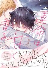運命は甘く香る 【特別描き下ろし漫画付き】 パッケージ画像