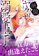 絶倫ヤクザは溺愛上手!? 〜ふたりの開運百回セックス 3 パッケージ画像