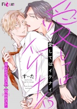 愛してはイケナイ 5 パッケージ画像