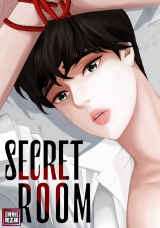 SECRET ROOM【特別修正版】(13) パッケージ画像