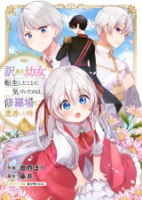 訳あり幼女、転生したことに気づいたのは、修羅場に遭遇した時。１７ パッケージ画像