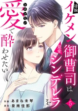 凄腕イケメン御曹司は最愛シンデレラをとめどない愛で酔わせたい５ パッケージ画像