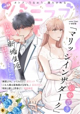 バニラブvol.64 パッケージ画像