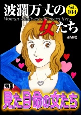 波瀾万丈の女たち Vol.104 見た目命の女たち パッケージ画像