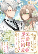 【単話版】昨日まで名前も呼んでくれなかった公爵様が、急に溺愛してくるのですが？@COMIC 第11話 パッケージ画像