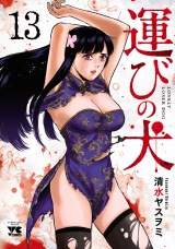 運びの犬　13 パッケージ画像