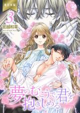 夢のむこうで、君を抱きしめる【単行本版】　3 パッケージ画像
