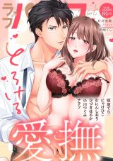 ラブパルフェ（LoveParfait） VOL.84-3 パッケージ画像