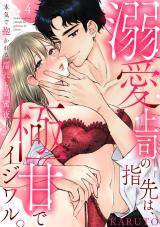 【ラブパルフェ】溺愛上司の指先は、極甘でイジワル。～本気で抱かれる濡れトロ蜜夜　4 パッケージ画像