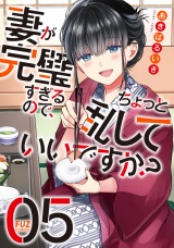 妻が完璧すぎるので、ちょっと乱していいですか？　５巻 パッケージ画像