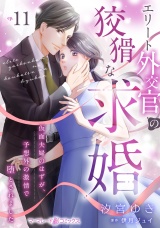 【分冊版】エリート外交官の狡猾な求婚〜仮面夫婦のはずが、予想外の激情で堕とされました〜11話 パッケージ画像