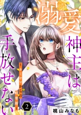 溺愛神主は手放せない〜カミサマからの略奪婚〜【単行本版／描き下ろしオマケつき】(2) パッケージ画像