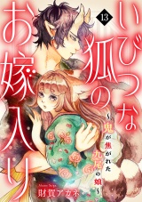 いびつな狐のお嫁入り〜鬼が焦がれた九尾の娘〜(13) パッケージ画像
