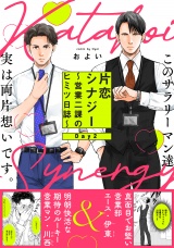 片恋シナジー 〜営業二課のヒミツ日誌〜(2) パッケージ画像