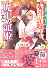 勇者に裏切られた転生治癒士が魔王の寵姫になるまで３ パッケージ画像