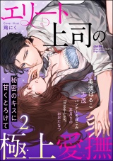エリート上司の極上愛撫 秘密のキスに甘くとろけて （2） パッケージ画像