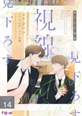【フルカラー】見下ろす視線 14 パッケージ画像