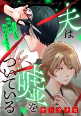 夫は嘘をついている〜二人の指輪が外れるまで〜（１） パッケージ画像