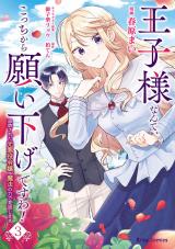 王子様なんて、こっちから願い下げですわ！～追放された元悪役令嬢、魔法の力で見返します～3 パッケージ画像