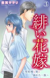 緋い花嫁～契約婚と彼と拗れた一族～3 パッケージ画像