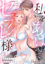私をあばいて、セフレ様。～体だけの相手に熱烈求婚されています～3 パッケージ画像